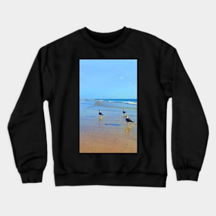 Three birds at the Beach Crewneck Sweatshirt